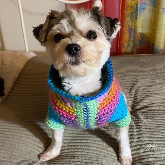 Small Dog Sweater, Toy Dog Clothes, Unique, Hand Knit One of a Kind, Colorful - Picture 11 of 16